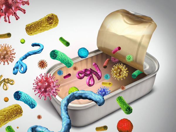 Desarrollo de bacterias